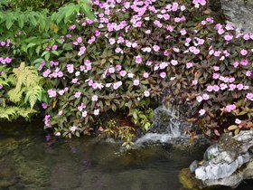 DSC_0457.JPG