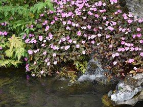 DSC_0458.JPG
