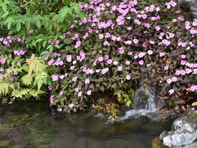 DSC_0459.JPG