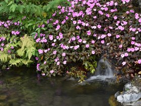 DSC_0462.JPG