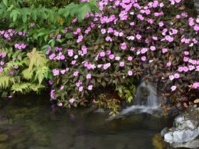 DSC_0463.JPG