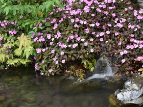 DSC_0465.JPG