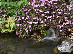 DSC_0466.JPG