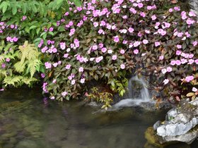 DSC_0467.JPG