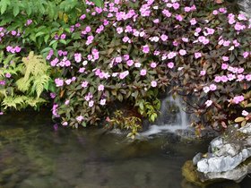 DSC_0468.JPG