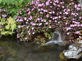 DSC_0469.JPG