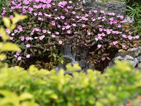 DSC_0471.JPG
