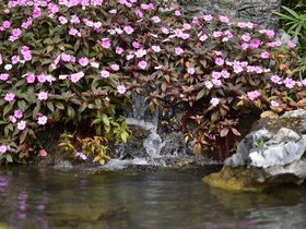 DSC_0472.JPG