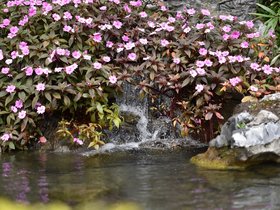 DSC_0473.JPG