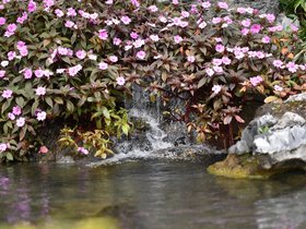 DSC_0474.JPG