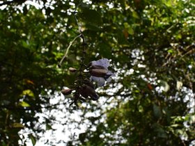 DSC_2135.JPG