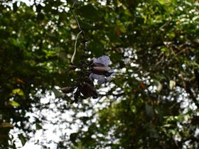 DSC_2136.JPG