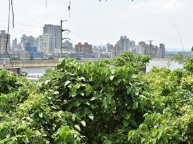 DSC_2148.JPG