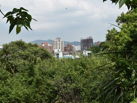 DSC_2153.JPG