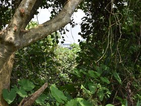 DSC_2155.JPG