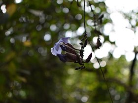 DSC_2158.JPG