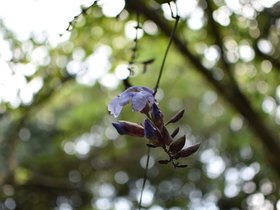 DSC_2159.JPG