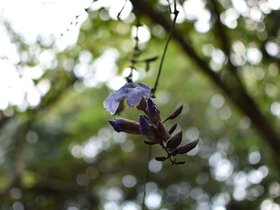 DSC_2160.JPG