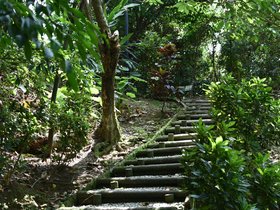 DSC_2165.JPG