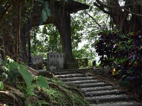 DSC_2172.JPG