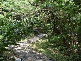 DSC_2173.JPG
