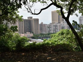 DSC_2174.JPG