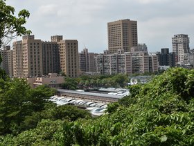 DSC_2175.JPG