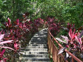 DSC_2177.JPG