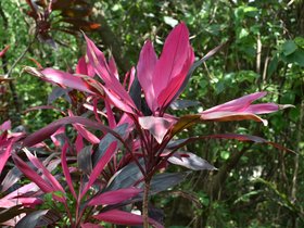DSC_2180.JPG