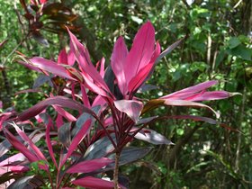 DSC_2181.JPG
