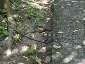 DSC_2190.JPG