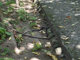 DSC_2191.JPG