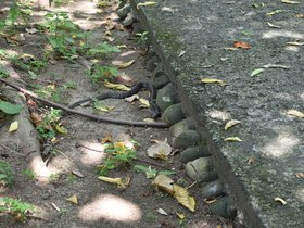 DSC_2192.JPG