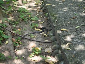 DSC_2193.JPG
