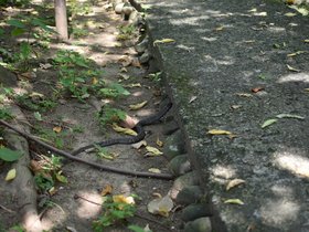 DSC_2194.JPG
