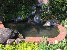 IMG_8974.JPG