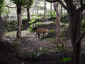 Taipei Zoo