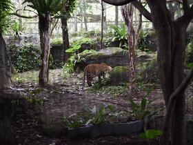 DSC_2503.JPG