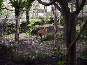 DSC_2504.JPG