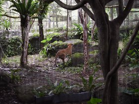 DSC_2505.JPG