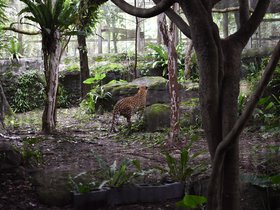 DSC_2506.JPG