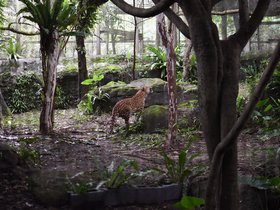 DSC_2507.JPG