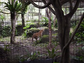 DSC_2508.JPG