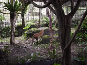 DSC_2509.JPG