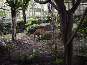 DSC_2510.JPG
