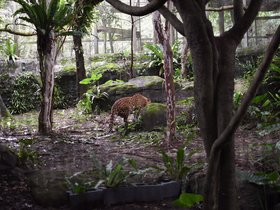 DSC_2511.JPG