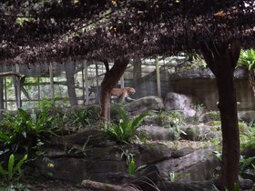 DSC_2515.JPG