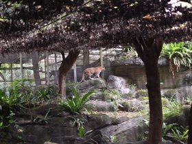 DSC_2516.JPG