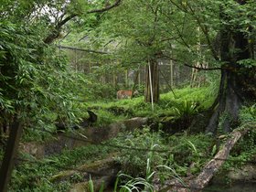 DSC_2528.JPG