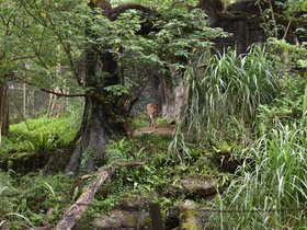 DSC_2534.JPG